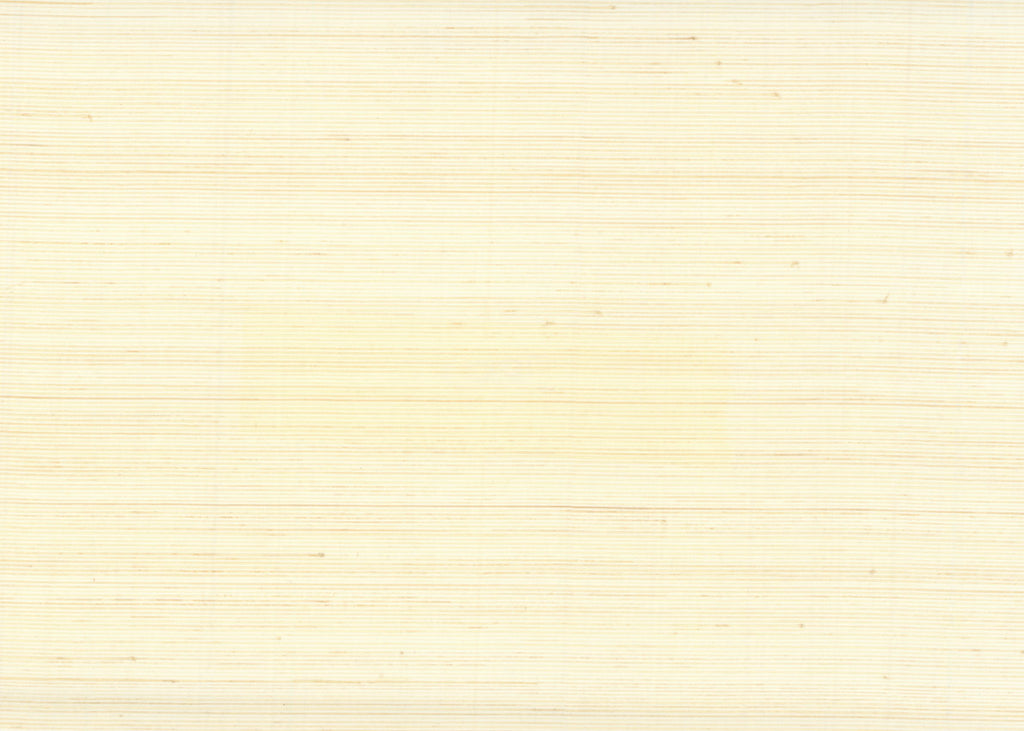 Abaca 3000