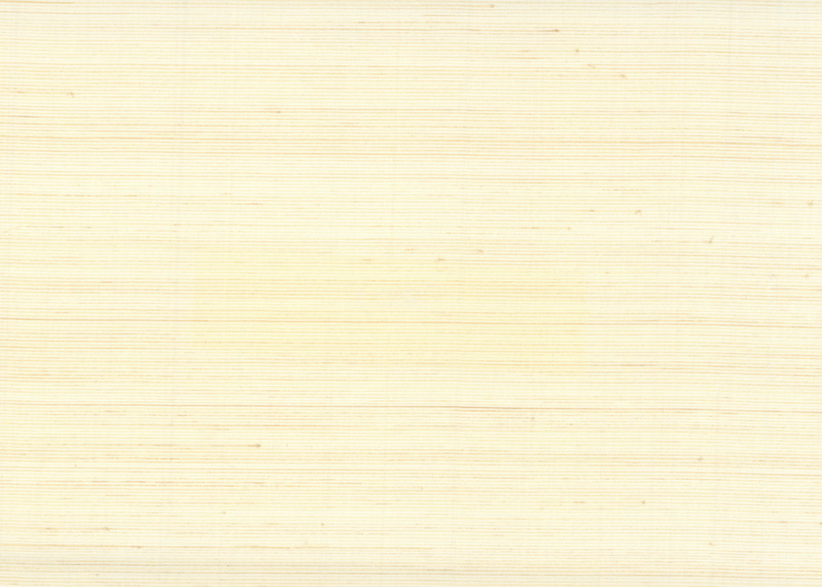 Abaca 3000