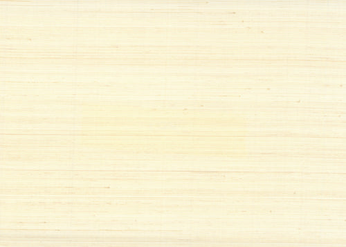 Abaca 3000