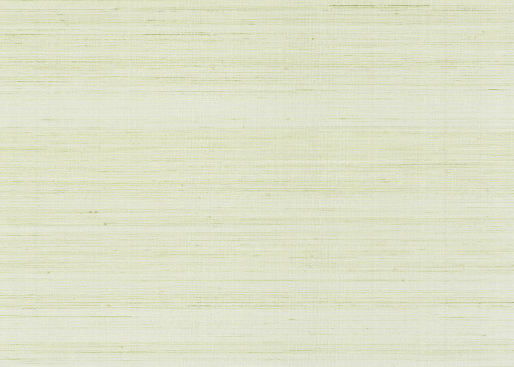 Abaca 3001