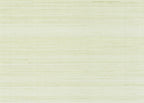 Abaca 3001