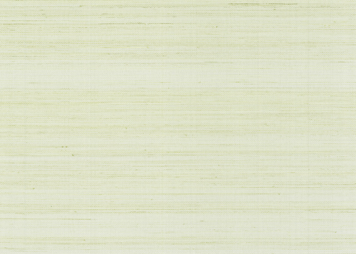 Abaca 3001