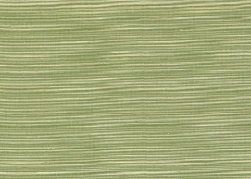 Abaca 3002