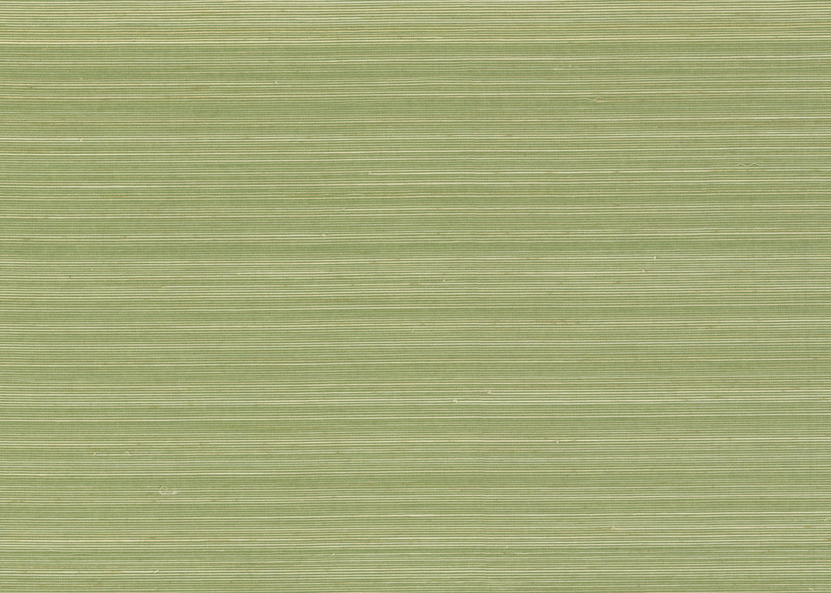 Abaca 3002