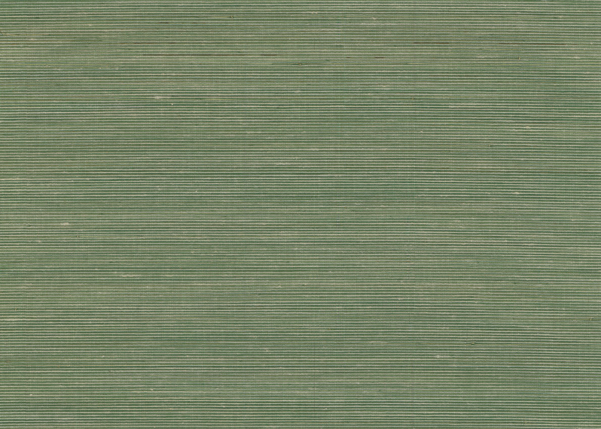 Abaca 3003