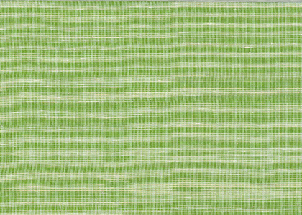 Abaca 3004