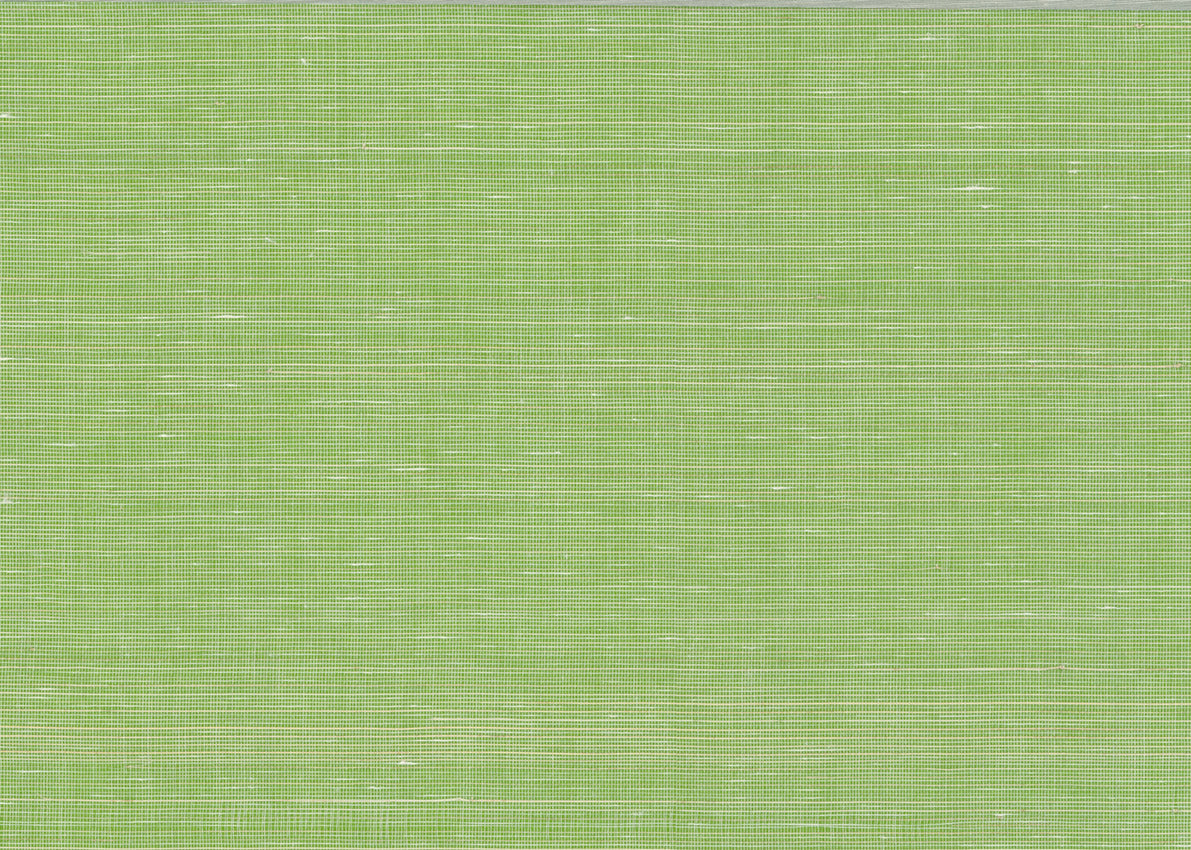 Abaca 3004