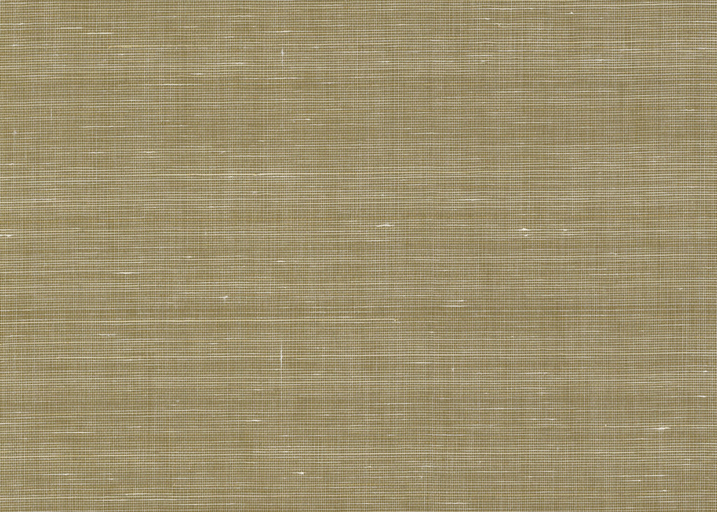 Abaca 3005