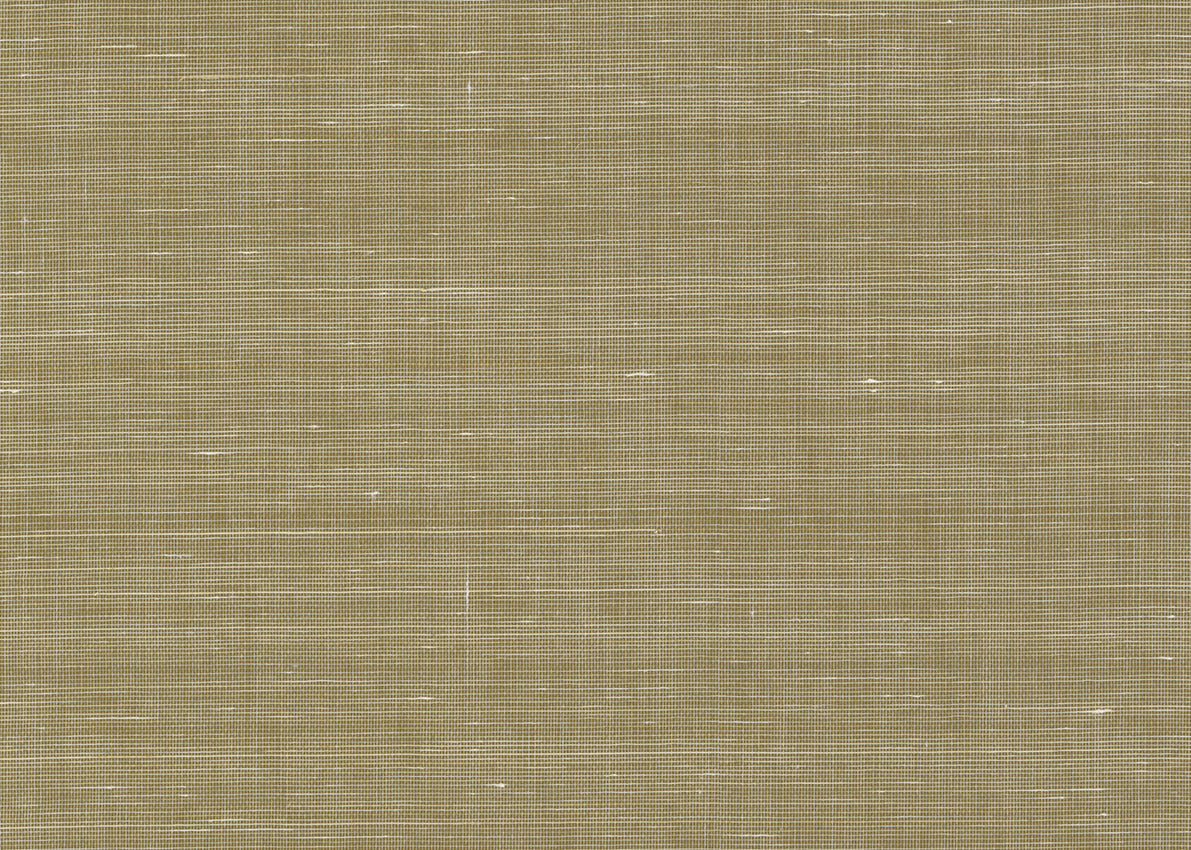 Abaca 3005