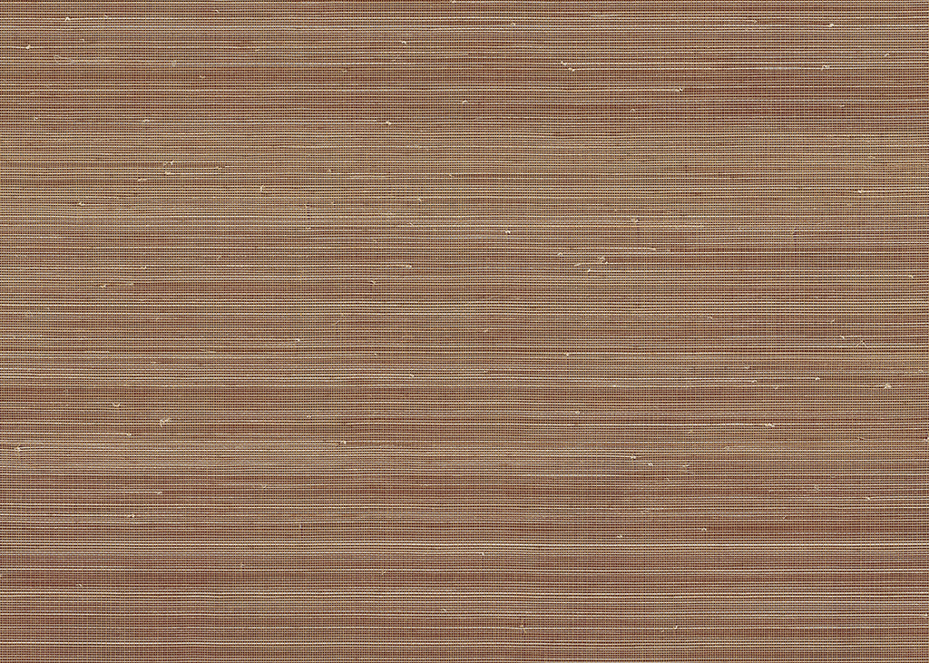 Abaca 3006