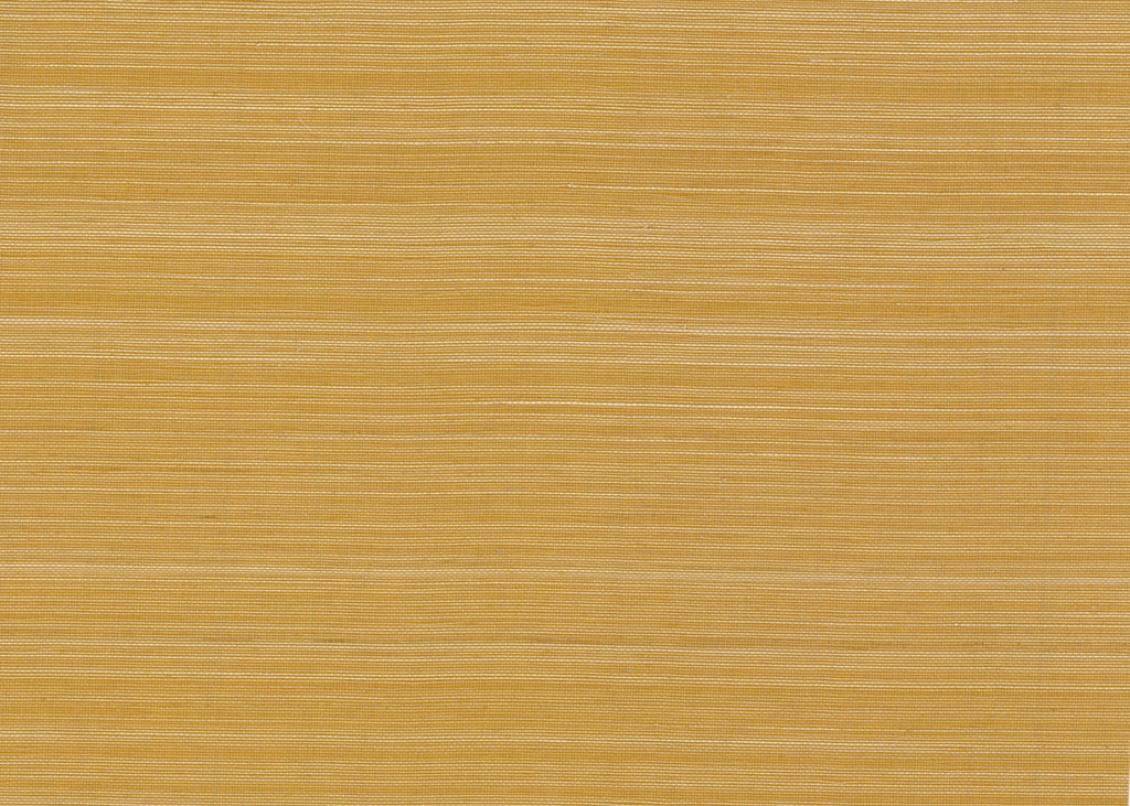 Abaca 3007