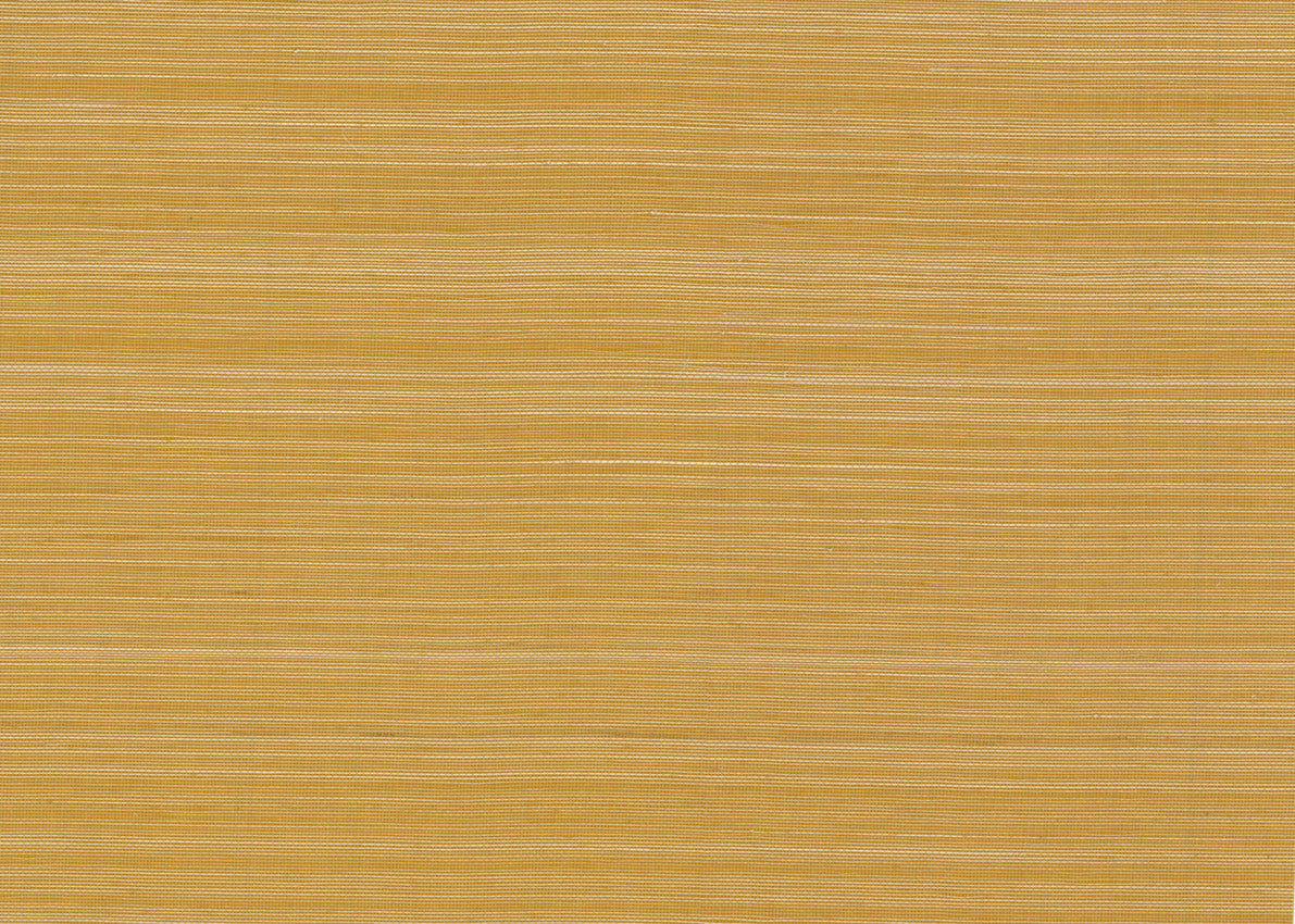 Abaca 3007