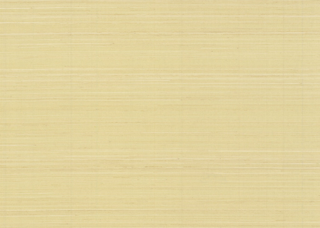 Abaca 3009