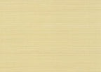 Abaca 3009