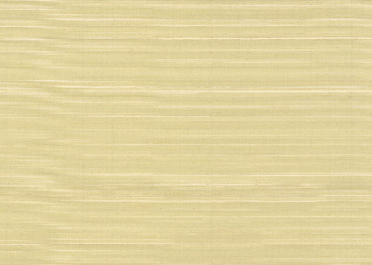 Abaca 3009