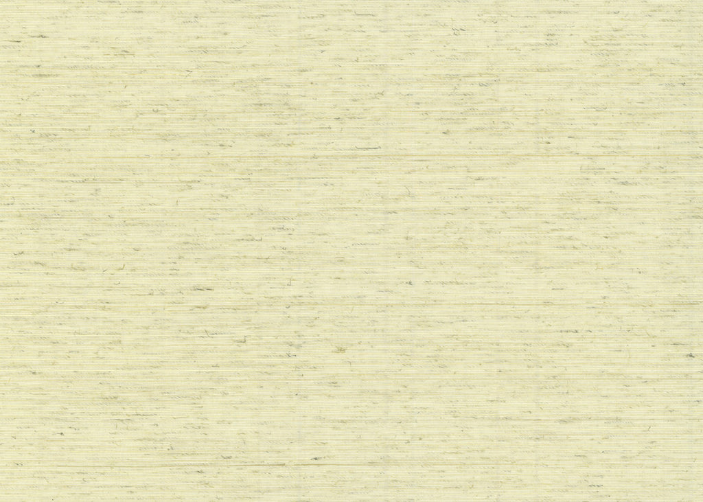 Abaca 3010