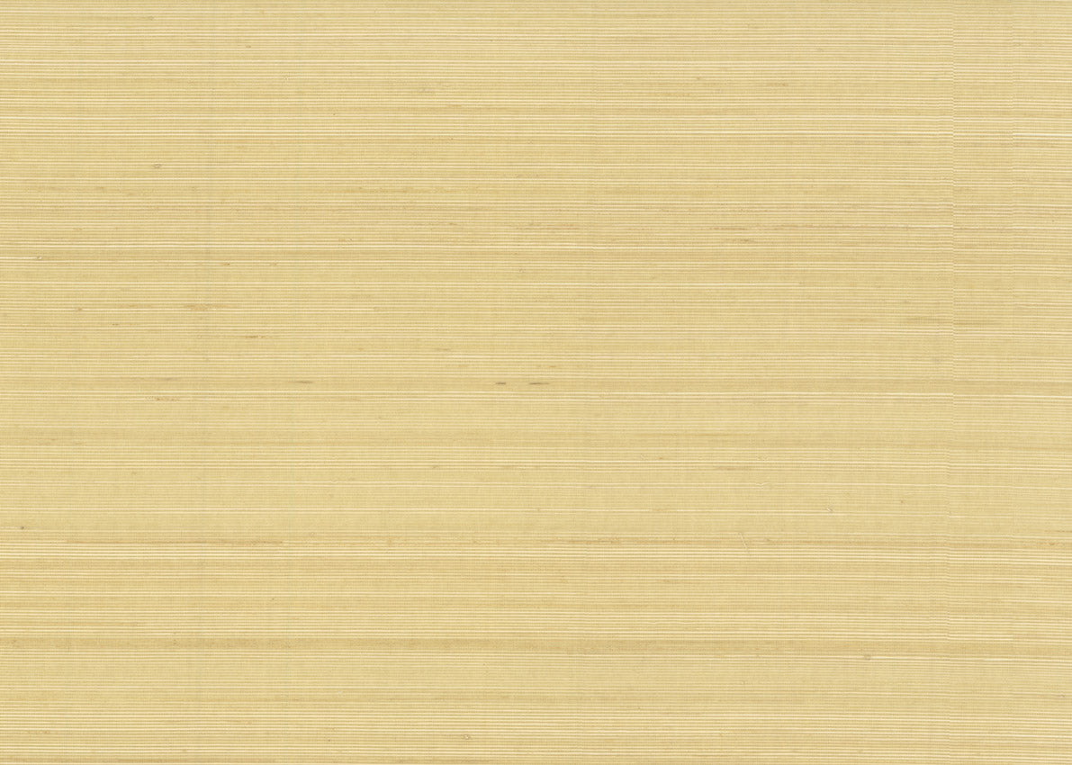 Abaca 3013