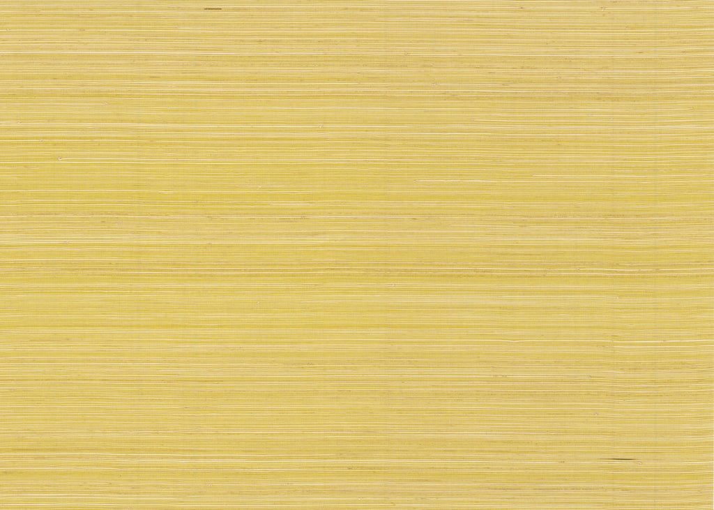 Abaca 3014