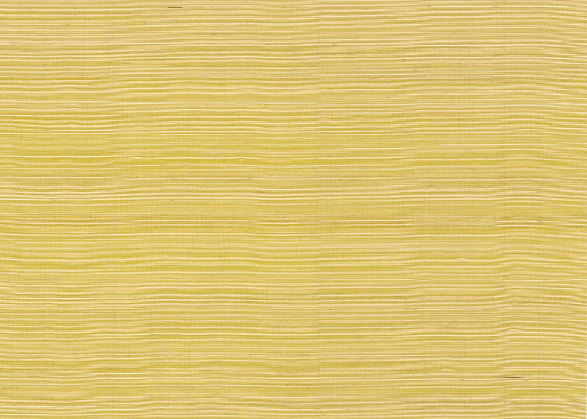 Abaca 3014