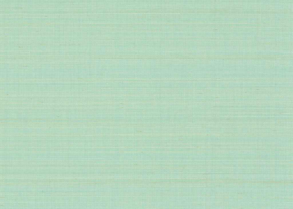 Abaca 3016