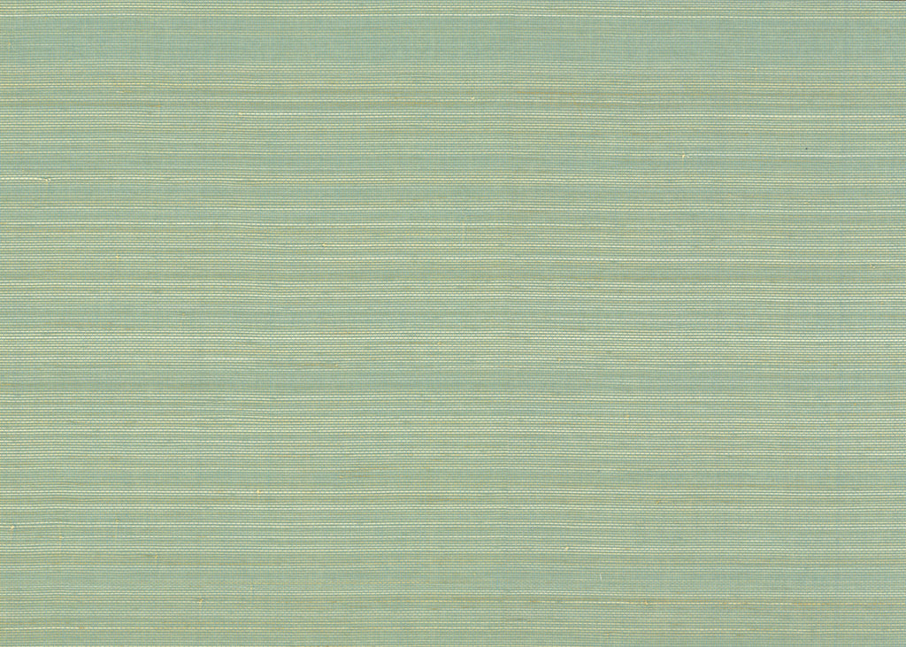 Abaca 3017