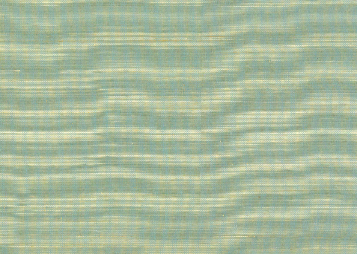Abaca 3017
