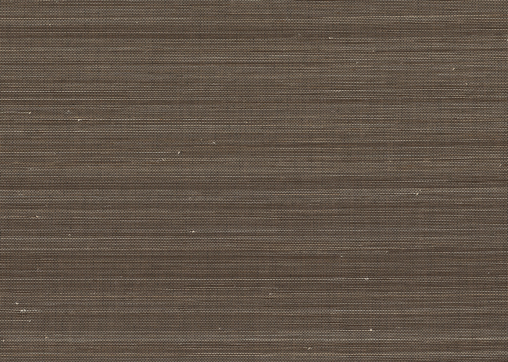 Abaca 3019