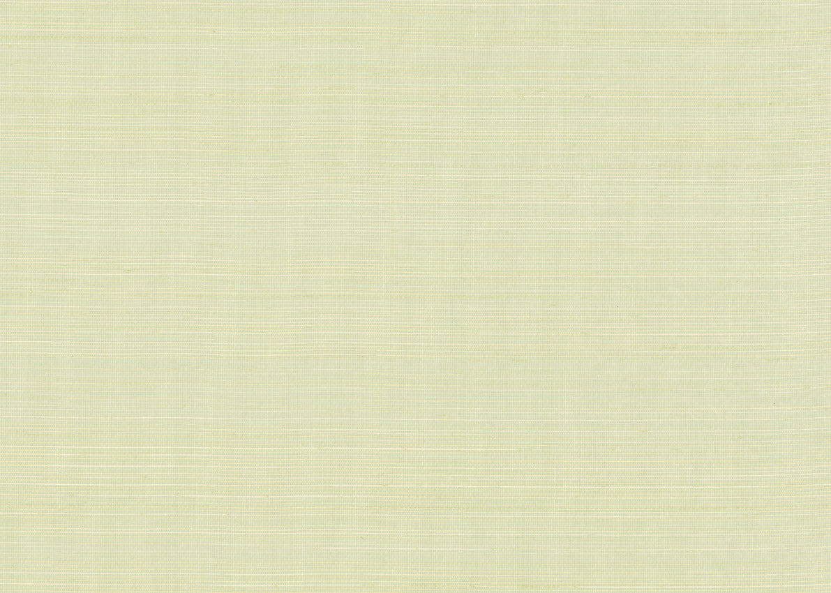 Abaca 3020