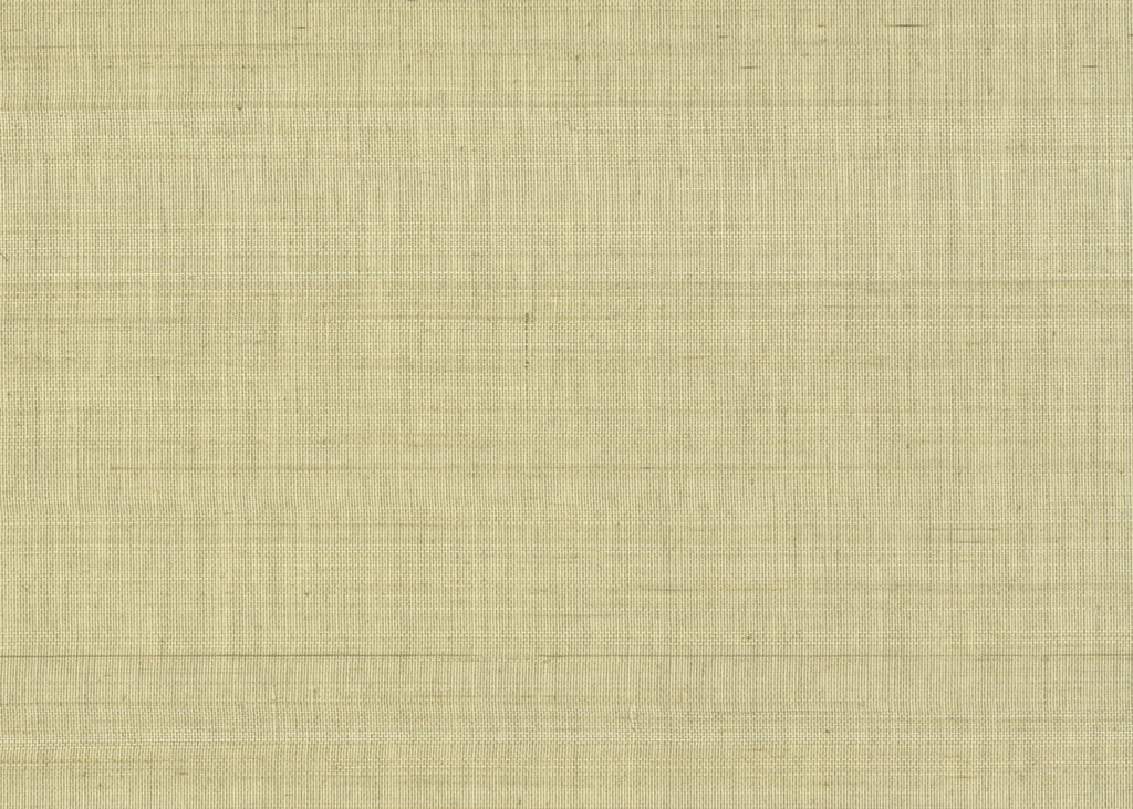 Abaca 3021