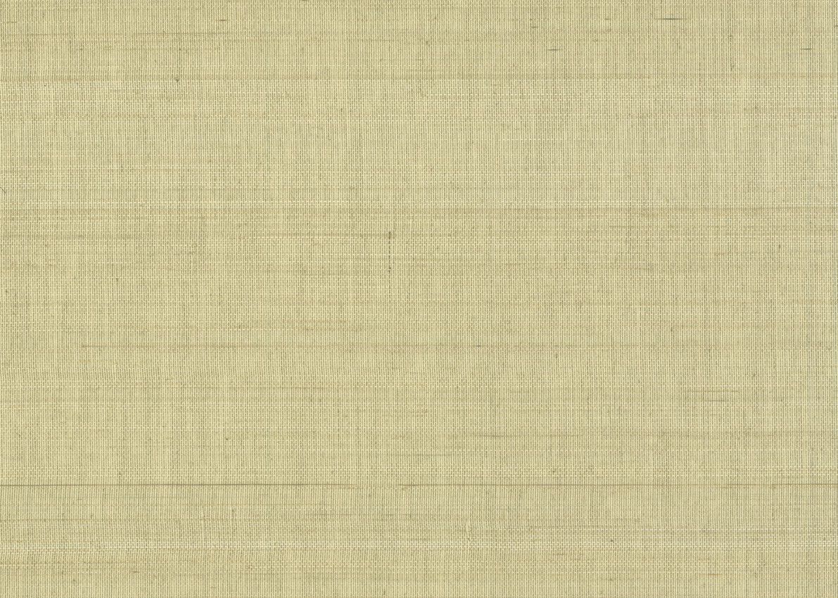 Abaca 3021