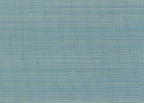 Abaca 3024