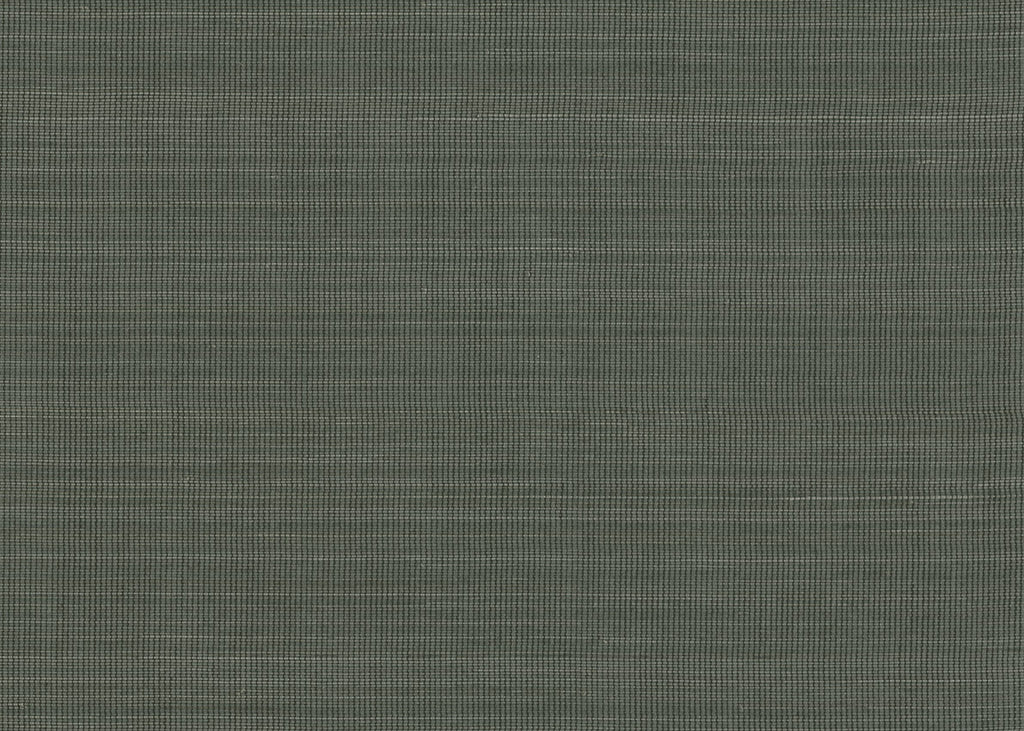 Abaca 3025