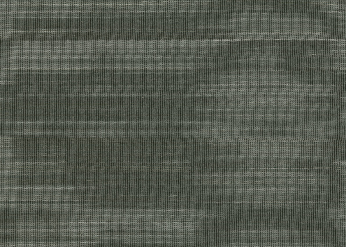 Abaca 3025