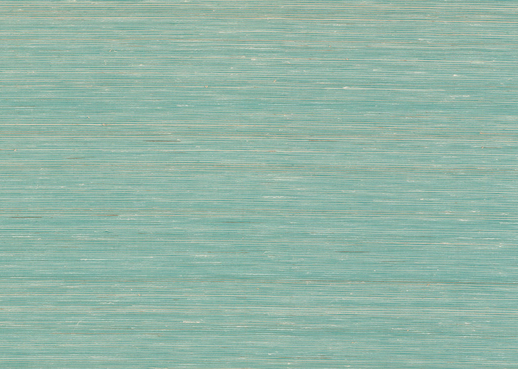 Abaca 3026