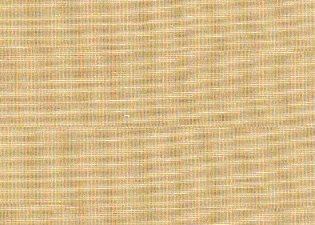 Abaca 3028