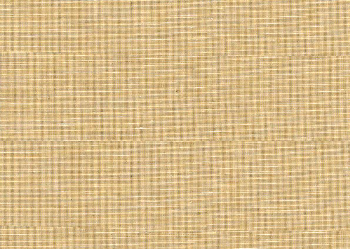 Abaca 3028