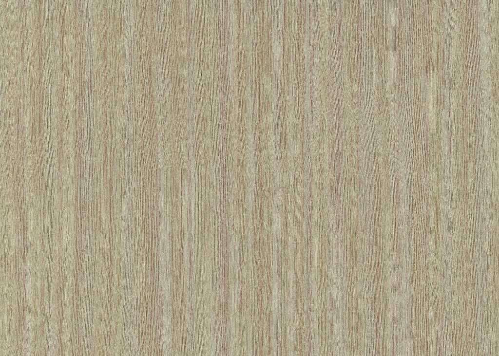 Alburno 25710