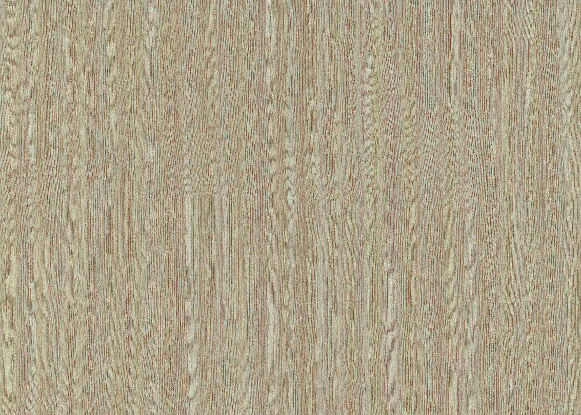 Alburno 25710