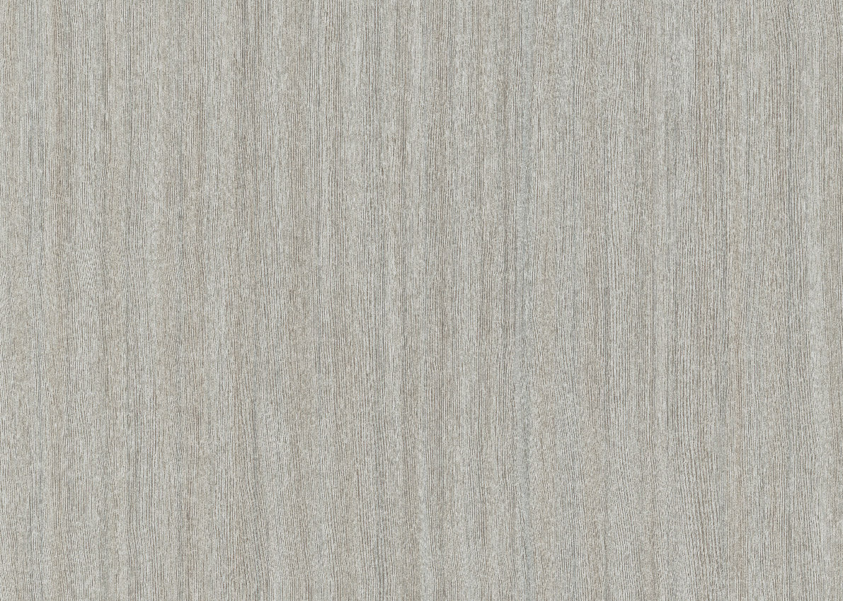 Alburno 25713