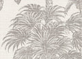 Amazzonia 1070