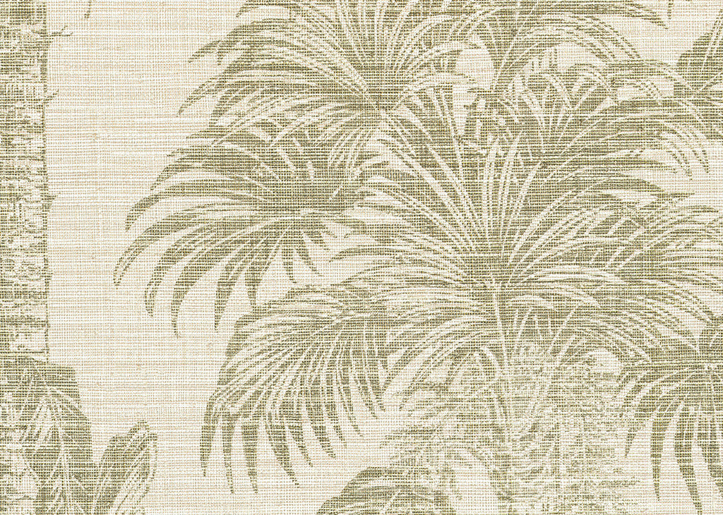 Amazzonia 1071