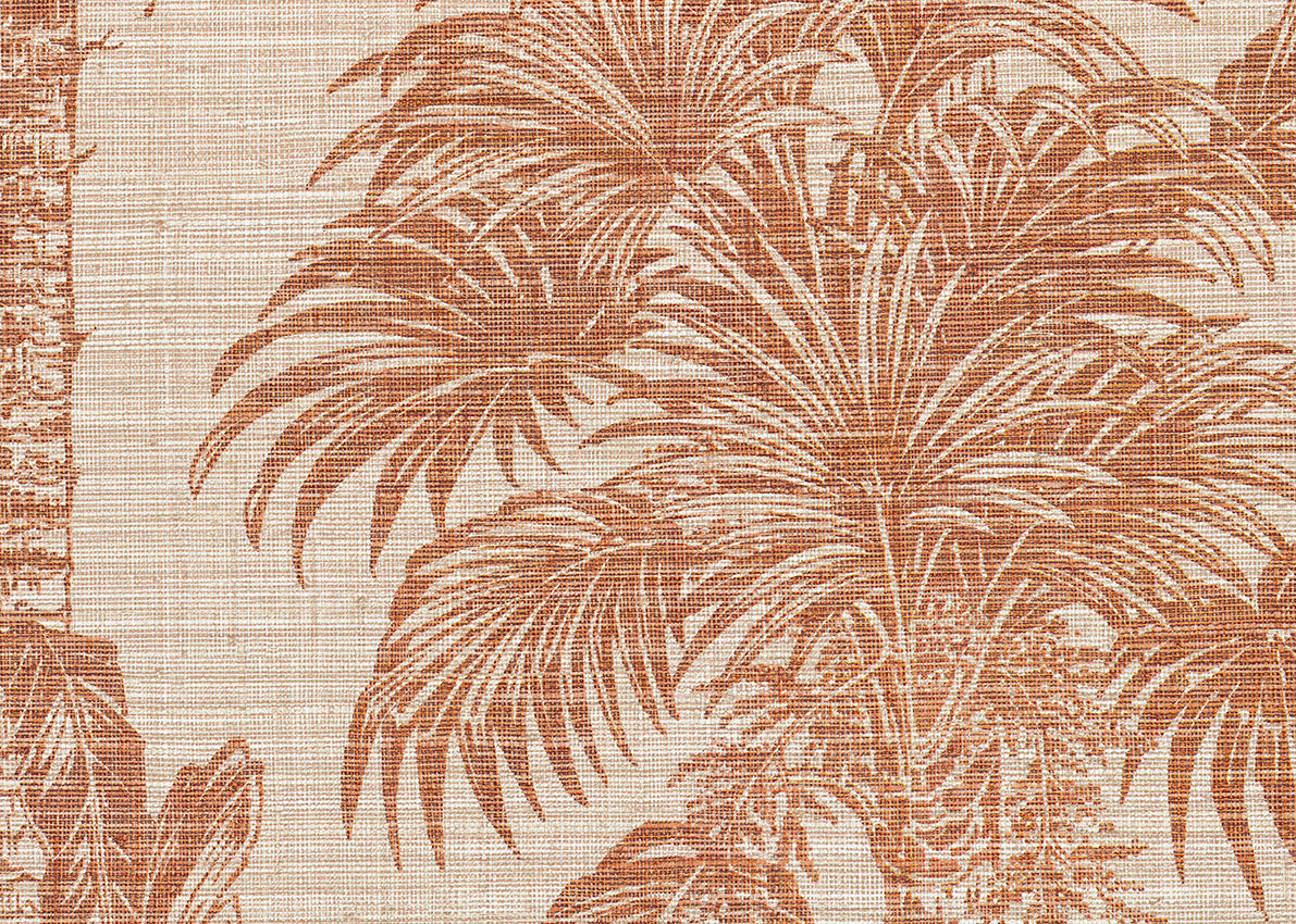 Amazzonia 1072