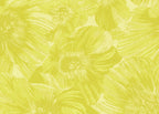 Anemoni 10500