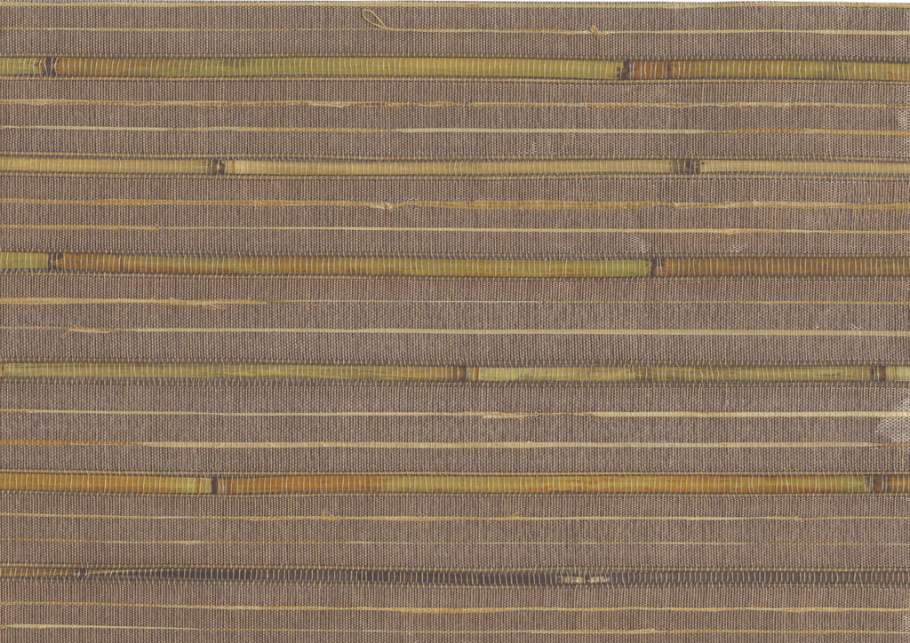 Bamboo 4710