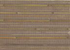 Bamboo 4710