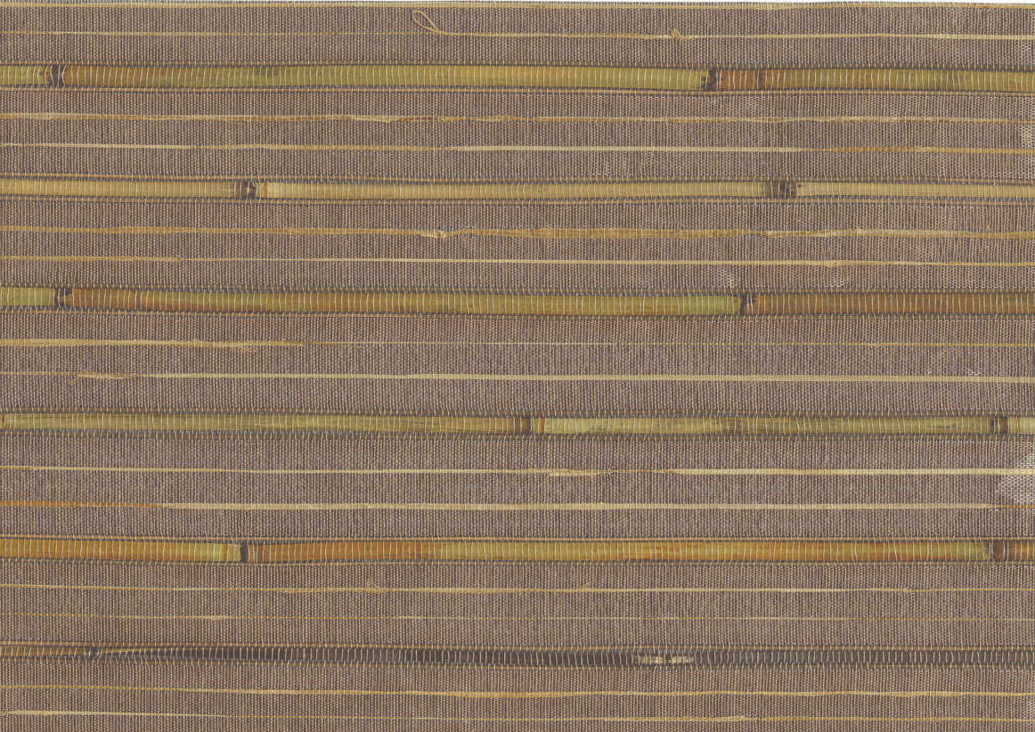 Bamboo 4710