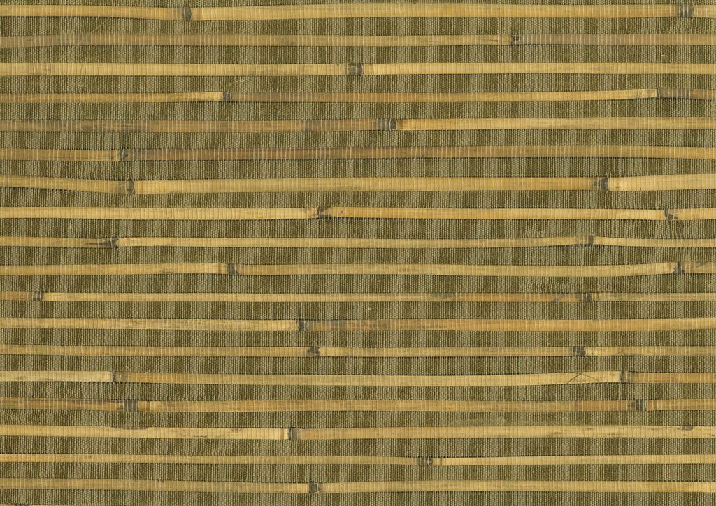 Bamboo 4711