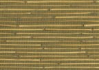 Bamboo 4711