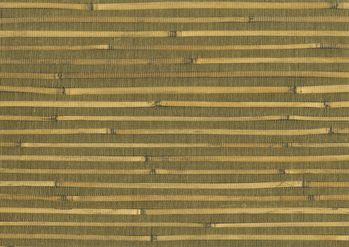 Bamboo 4711