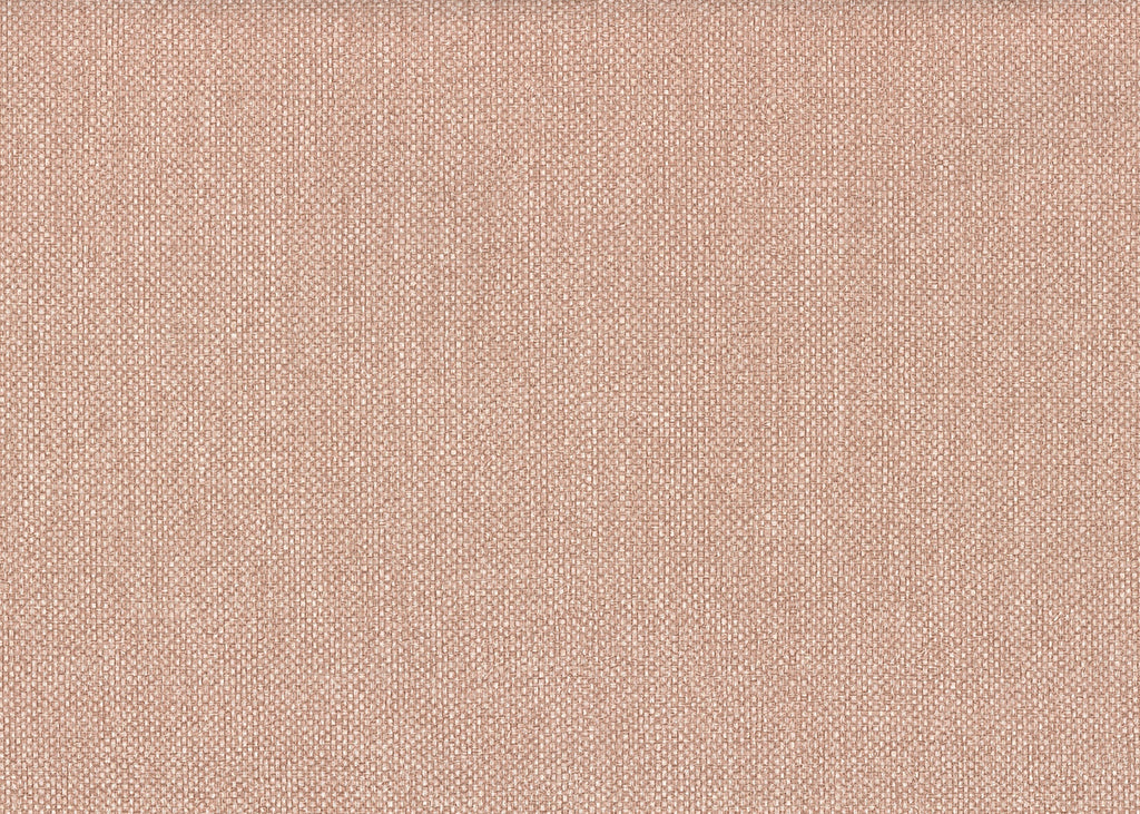 Baobab 1003